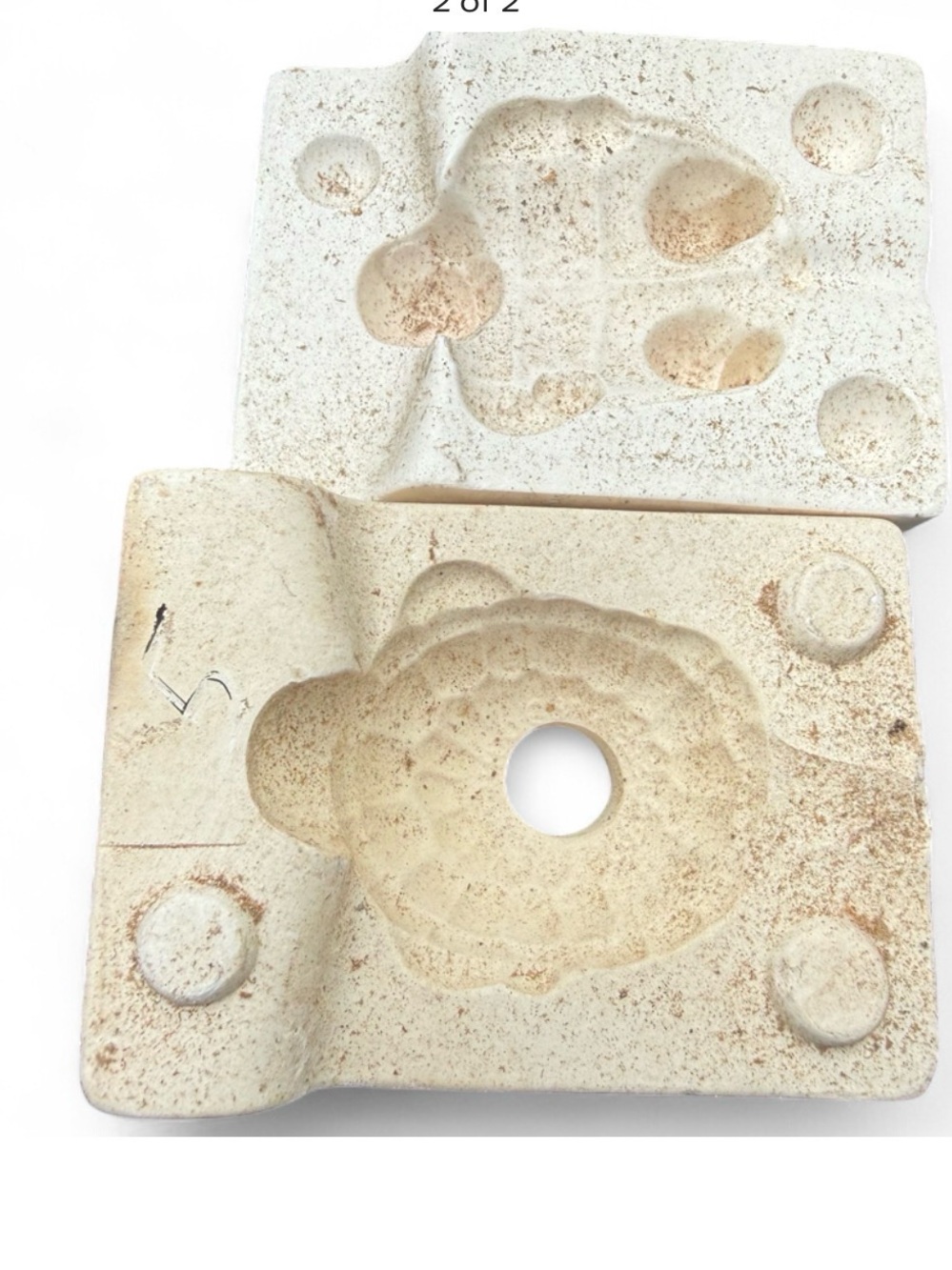 Slip cast Mold turtle